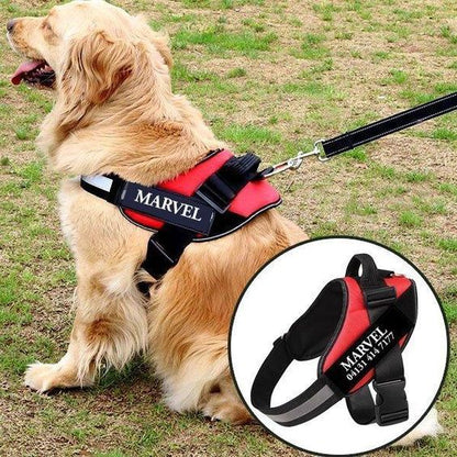 Personalized dog harness™