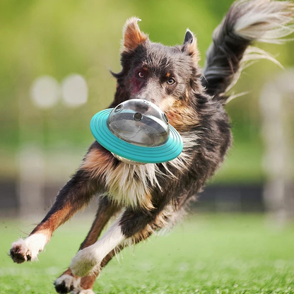 UFO Flying Saucer Fun Feeder™