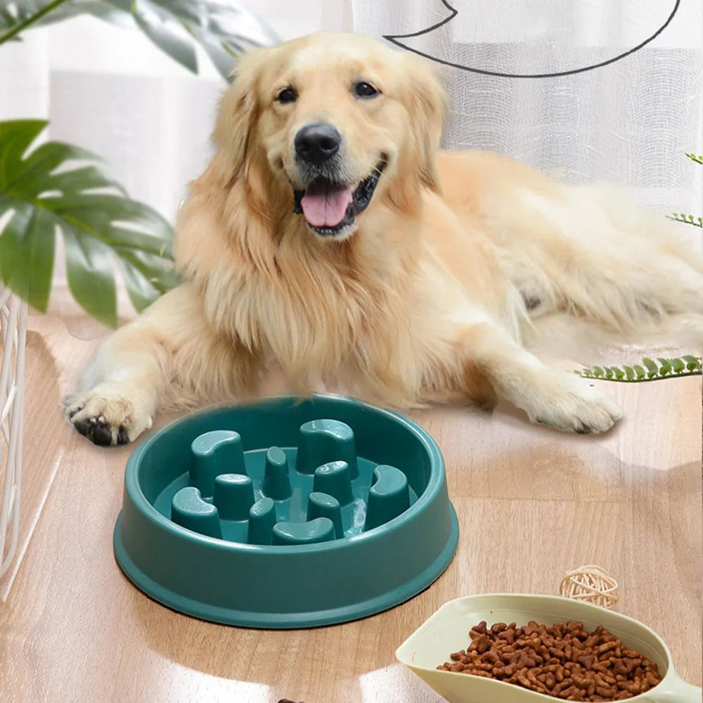 Anti-Slip Slow Feed Pet Bowl™